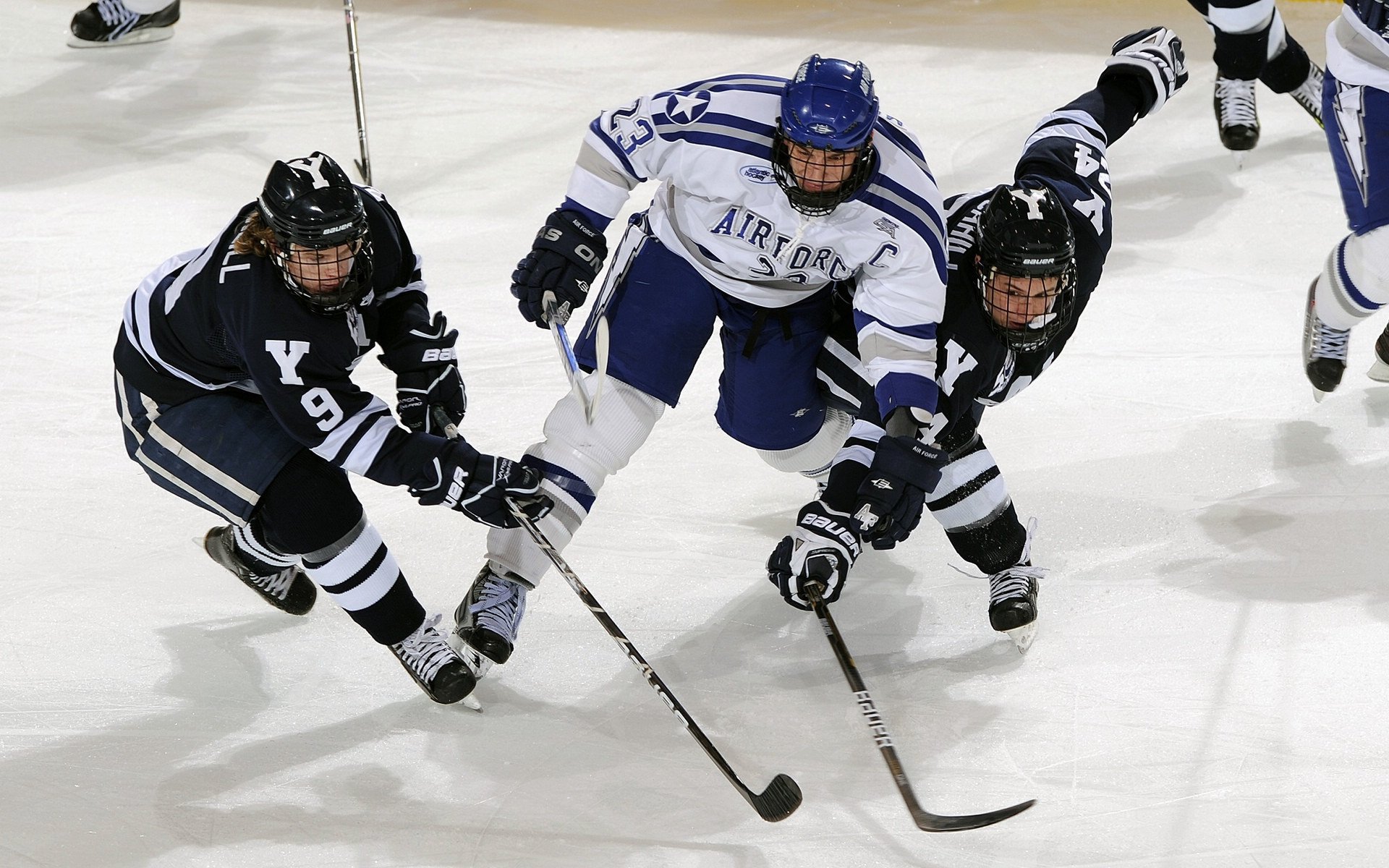 黄蜂新人持续提升得到更多出场时间，黄蜂队员