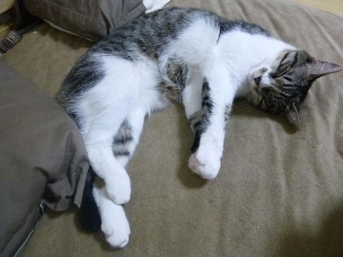 开云体育官方网入口-_奇才队青年军崛起，迎来关键胜利_，奇才全部队员