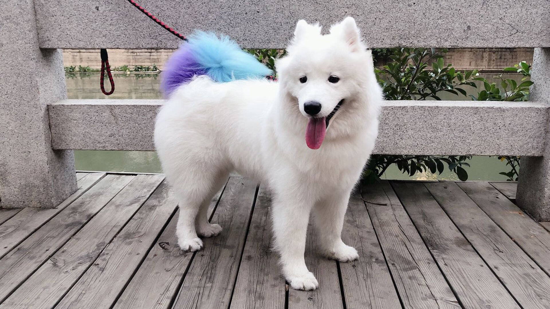 kaiyun 开云体育-_运动员感言：逆境中的手心汗水与坚持_，运动员心疼