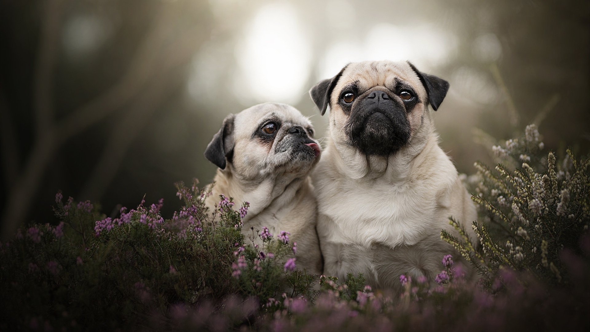 开云真人体育娱乐-【团队配合】场上合作战术如何赢得比赛，团队上场方式